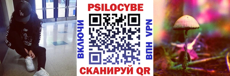 Галлюциногенные грибы GOLDEN TEACHER  Купить закладки  Цимлянск 